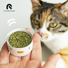 將圖片載入圖庫檢視器 PURROOM Dried Natural Catnip 3G
