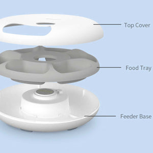 PETWANT Donuts Smart Automatic 6 Meals Pet Feeder