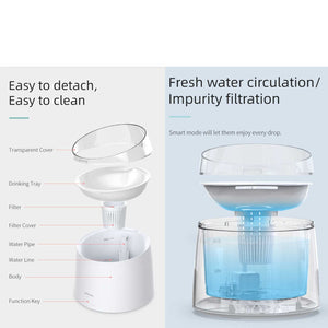 PETWANT UV Sterilization Smart Pet Water Fountain