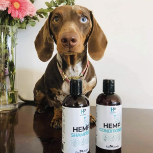 HEMPPET Hemp Oil Dog Shampoo 250ml