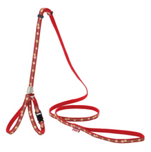 Load image into Gallery viewer, PETIO Neko Komachi Harness Lead For Cats

