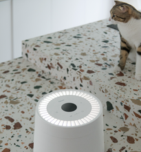 Load image into Gallery viewer, PETREE Pet Air Purifier With UV Lamp

