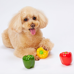 PETIO Paprika Squeaker Dog toys