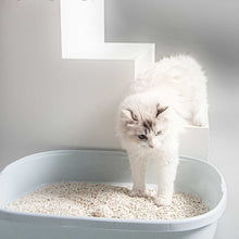 Load image into Gallery viewer, TOUCHCAT Tofu Absorbent and Clumping Cat Litter 2.5kg
