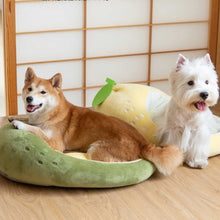 將圖片載入圖庫檢視器 TOUCHDOG Fruity Series Premium Designer Oval Pet Bed
