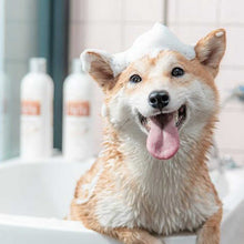 Load image into Gallery viewer, TOUCHDOG Hair Conservation Paj Paj Dog Shampoo
