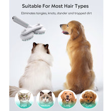 Load image into Gallery viewer, UAH PET Negative Ion Pet Grooming Brush
