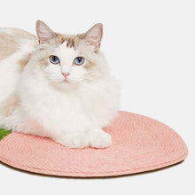 將圖片載入圖庫檢視器 VETRESKA Peach Cat Scratching Board
