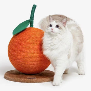 VETRESKA Orange Fruity Cat Scratching Ball