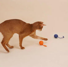 將圖片載入圖庫檢視器 ZEZE Dangling Balls Pet Toy
