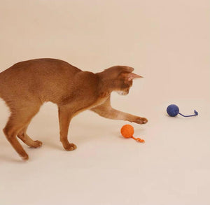 ZEZE Dangling Balls Pet Toy