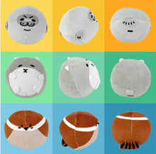 Load image into Gallery viewer, WOHOO MARKET Round Pet Toys
