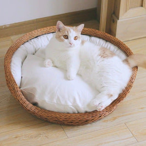 CatsCity Handcrafted Rattan Pet Bed With Cushion