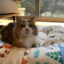 Load image into Gallery viewer, FLUFFURRY Cushion Pet Bed

