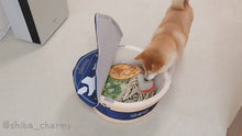 Load and play video in Gallery viewer, KASHIMA Noodles Pet Bed
