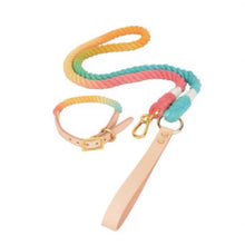 將圖片載入圖庫檢視器 MAOGOUBLUE Stylish Dog Traction Rope Dog Collar and Leash
