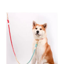 將圖片載入圖庫檢視器 MAOGOUBLUE Stylish Dog Traction Rope Dog Collar and Leash
