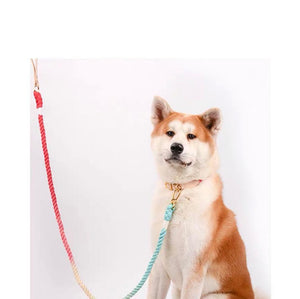 MAOGOUBLUE Stylish Dog Traction Rope Dog Collar and Leash