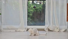 Load and play video in Gallery viewer, BENTOPAL P08 Smart Laser Light Pointer Electric Pet Toy
