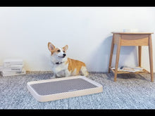 Load and play video in Gallery viewer, PETKIT Pura Dog Training Toilet Board
