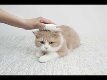 將影片載入圖庫檢視器並播放，PETKIT EVERCLEAN Massage Comb And Pet Grooming Brush
