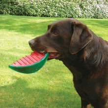 將圖片載入圖庫檢視器 ROSEWOOD BioSafe Watermelon Dog Toy
