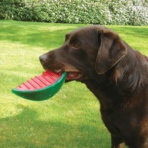 ROSEWOOD BioSafe Watermelon Dog Toy
