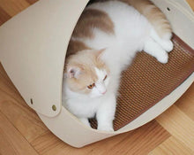 將圖片載入圖庫檢視器 CATSCITY Washable Pet Bed For All Seasons With Cushion And Cooling Pad
