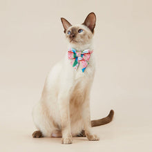 將圖片載入圖庫檢視器 PETKIT Pet Bow Tie Collar
