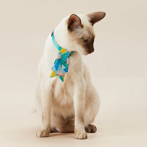 PETKIT Pet Bow Tie Collar