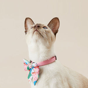 PETKIT Pet Bow Tie Collar