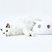 將圖片載入圖庫檢視器 PETKIT Magic Hemisphere Cat Toy
