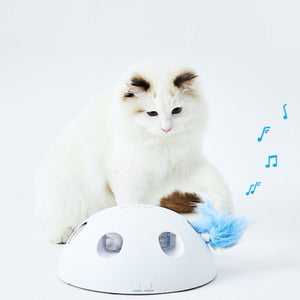 PETKIT Magic Hemisphere Cat Toy