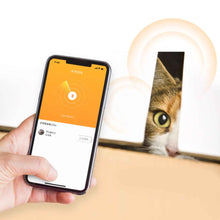 Load image into Gallery viewer, PETKIT FIT 3 Smart Pet Activity Trackers and Fitness Monitors For Cat
