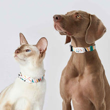 將圖片載入圖庫檢視器 PETKIT FIT 3 Smart Pet Activity Trackers and Fitness Monitors For Cat
