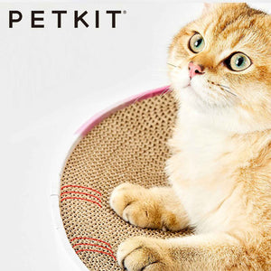 PETKIT Dream Aurora Square Cat Scratcher