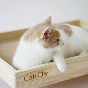 CatsCity Pinewood Wooden Pet Bed With Sisal And Cotton Mats