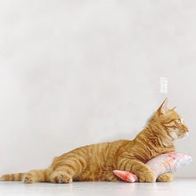 將圖片載入圖庫檢視器 WOHOO MARKET Fish Cat Toy With Catnips
