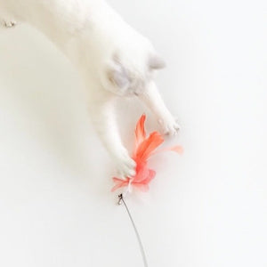 WOHOO MARKET Feather Cat Teaser Wand