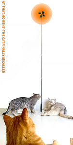 WOHOO MARKET Propeller Cat Teaser Wand