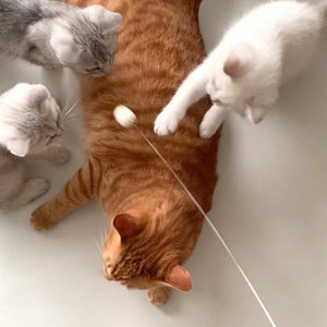 WOHOO MARKET Cat Teaser Wand with Natural Silk Ball