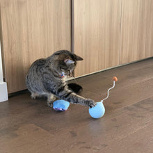 將圖片載入圖庫檢視器 PIDAN Balloon Electric Tumbler Teaser Cat Toy
