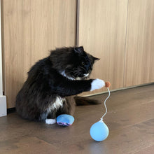 將圖片載入圖庫檢視器 PIDAN Balloon Electric Tumbler Teaser Cat Toy
