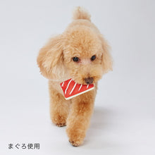 Load image into Gallery viewer, PETIO Kotobuki Latex Soft Dog Toys
