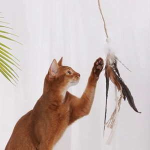 ZEZE Wooden Cat Teaser With Feather