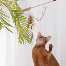 Load image into Gallery viewer, ZEZE Wooden Cat Teaser With Feather
